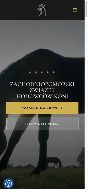Mobilny widok serwisu ZZHK